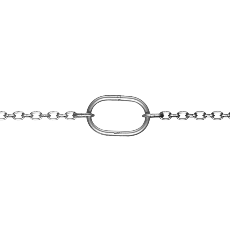 Durability and Design: Heart of the Pump Chain Detailed view of the pump chain's robust core