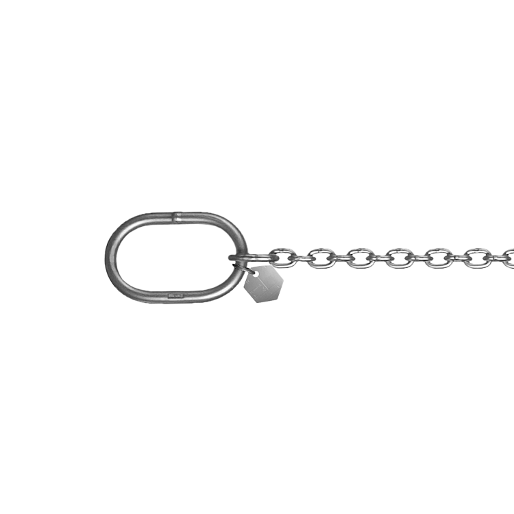 Precision-Crafted Details of the Pump Chain Macro view of the meticulously crafted pump chain