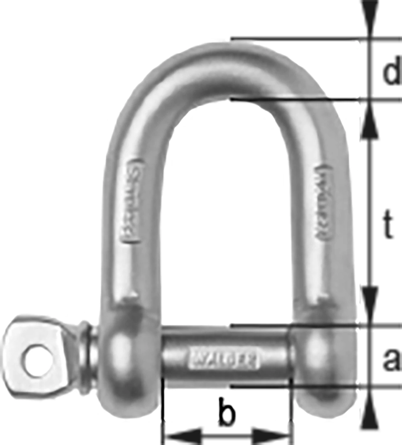 CSA-04 - D-Schäkel Edelstahl