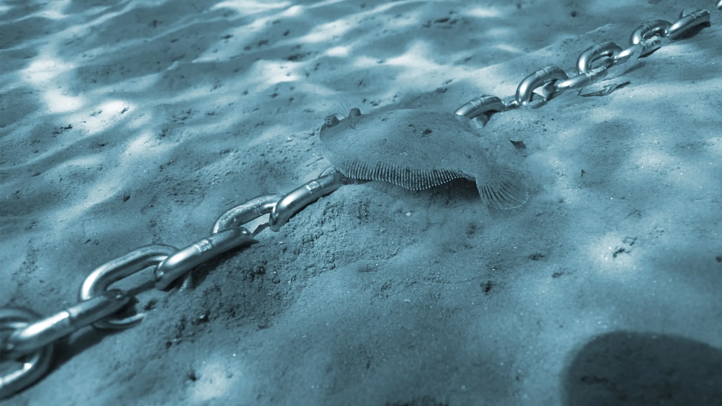 cromox® anchor chain underwater in the sand