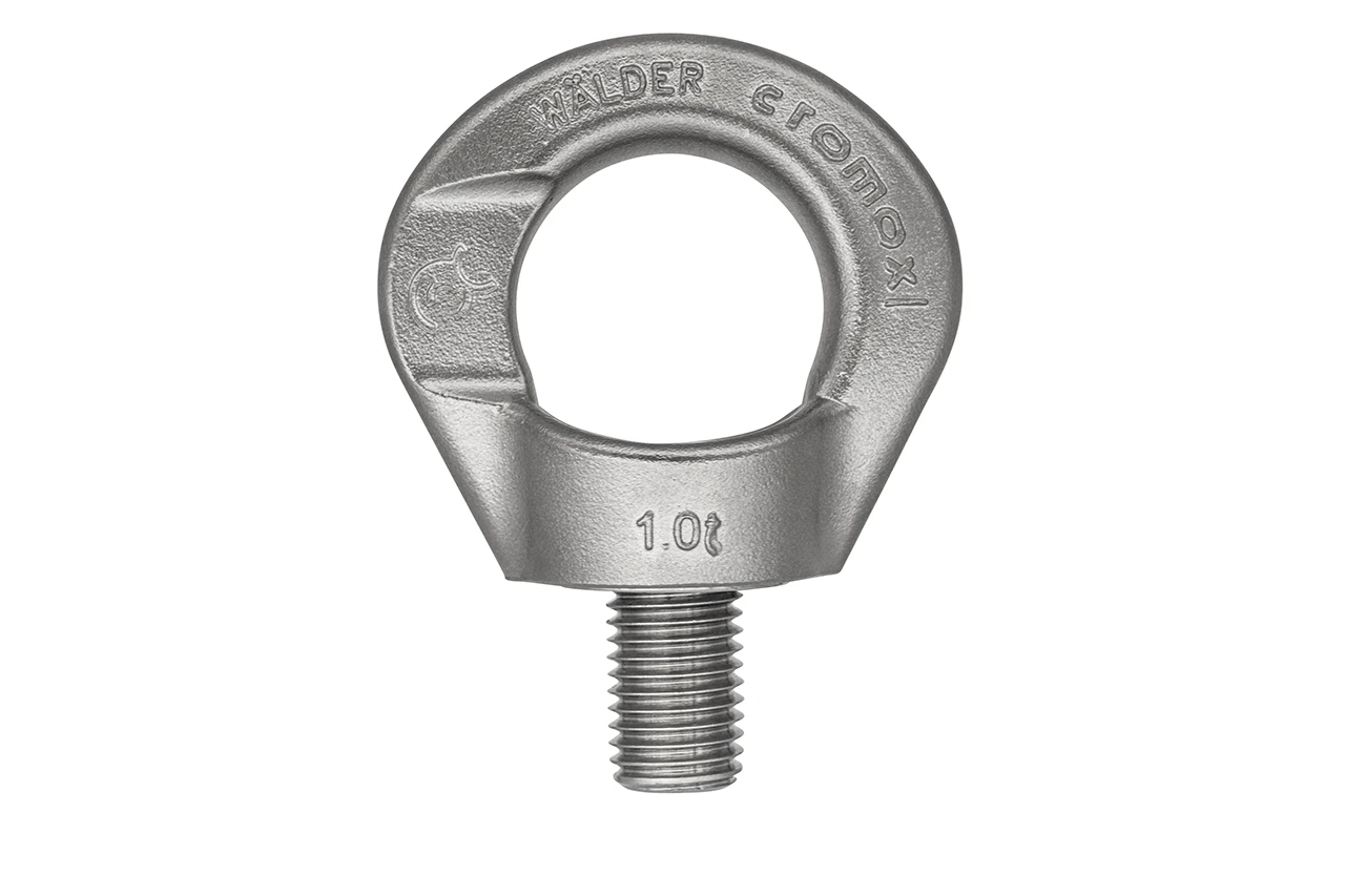 CDS-1-100 -Drehbare Ringschraube Edelstahl