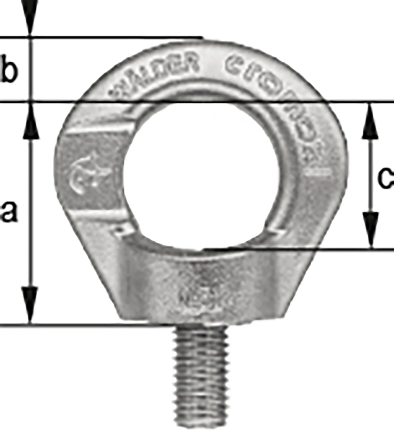 CDS-05-100-Drehbare Ringschraube Edelstahl